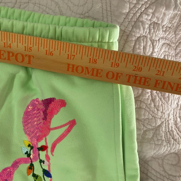 Queen of Sparkles Flamingo Embroidered Women's Shorts - Picture 7 of 12